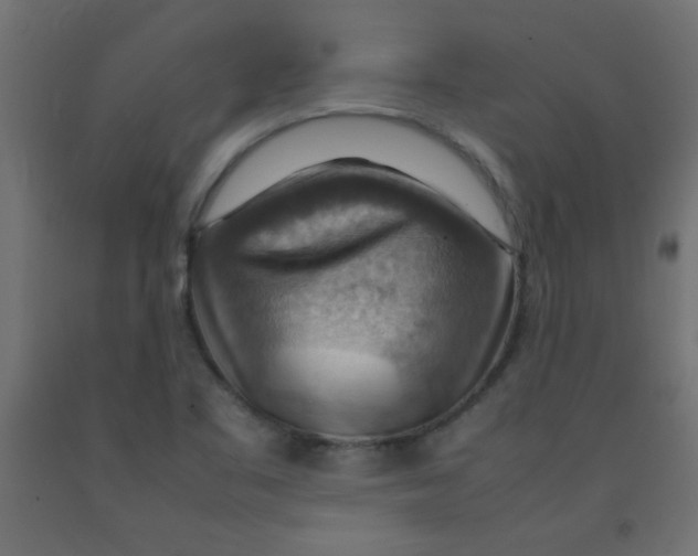 X0000092071461200710101008