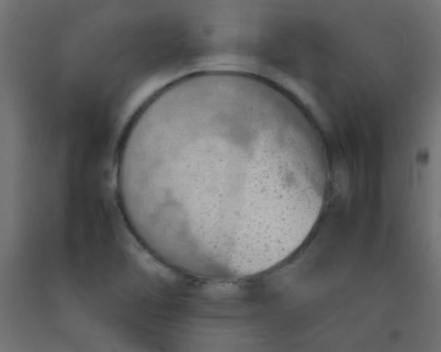 X0000092071462200710101008