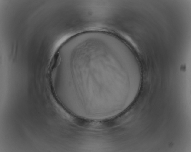 X0000092071463200710101008