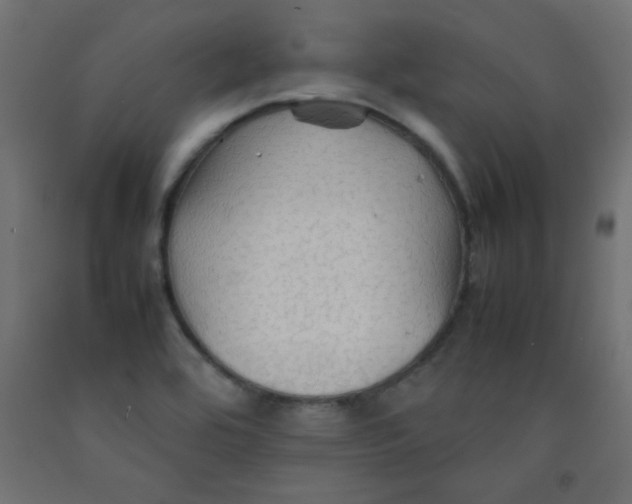 X0000092071464200710101008