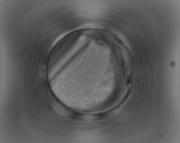 X0000092071465200710101008