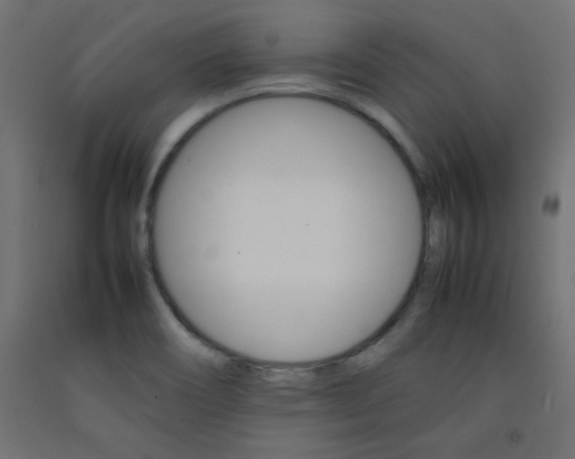 X0000092071466200710101008