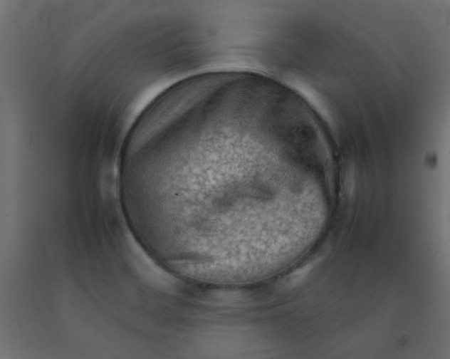 X0000092071468200710101008
