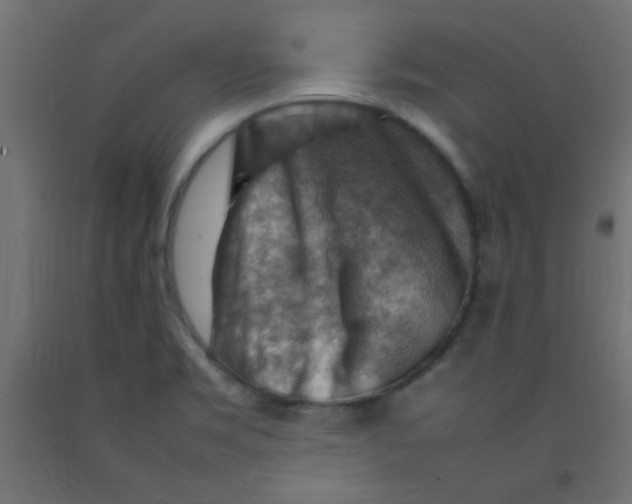 X0000092071469200710101008
