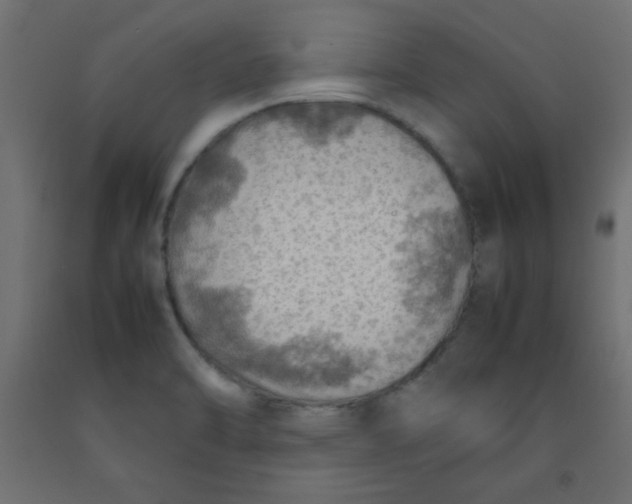 X0000092071470200710101008