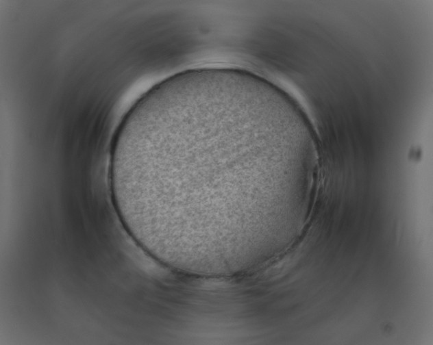 X0000092071472200710101008