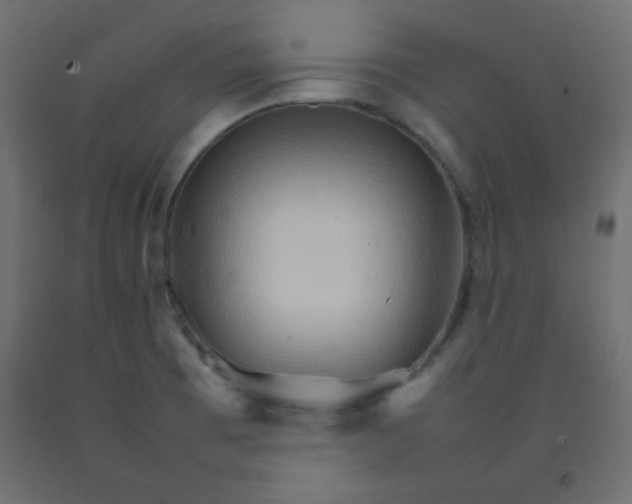 X0000092071473200710101008