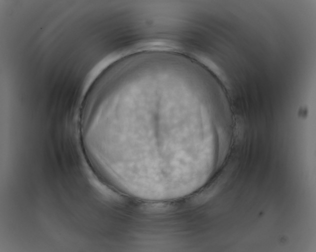 X0000092071474200710101008