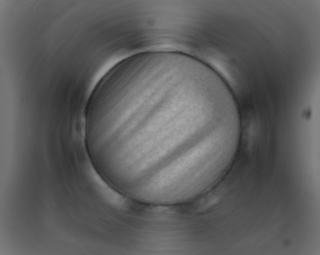 X0000092071476200710101008