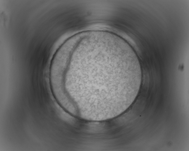 X0000092071478200710101008