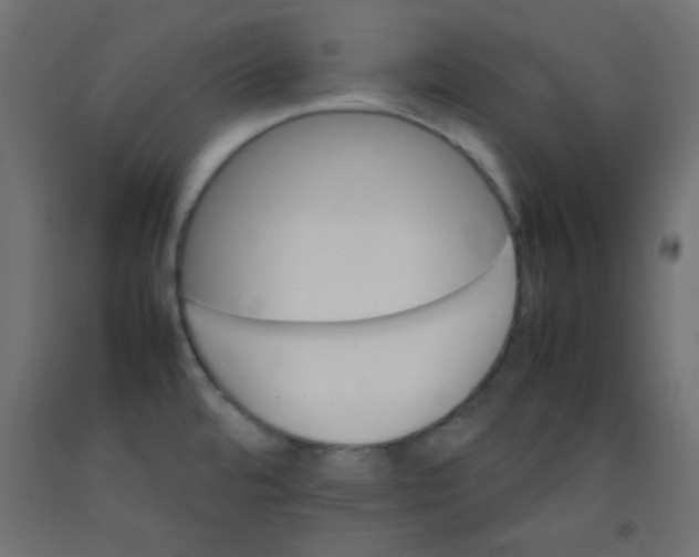 X0000092071480200710101008