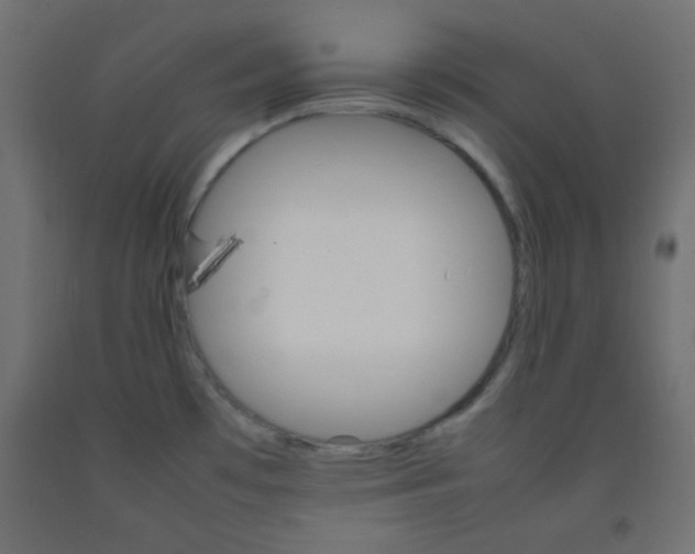 X0000092071481200710101008