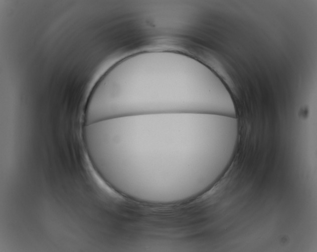 X0000092071484200710101008