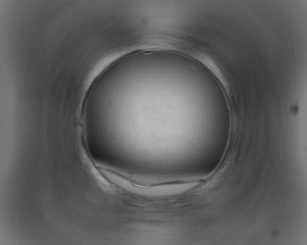 X0000092071485200710101008