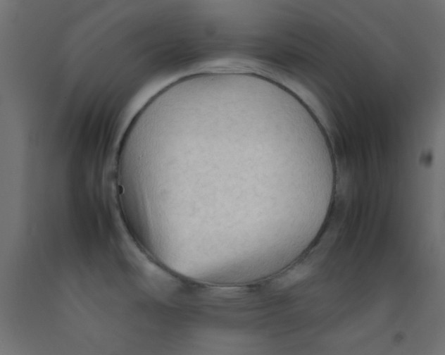 X0000092071486200710101008