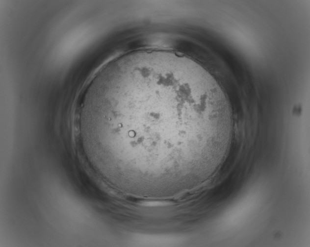 X0000092071487200710101008