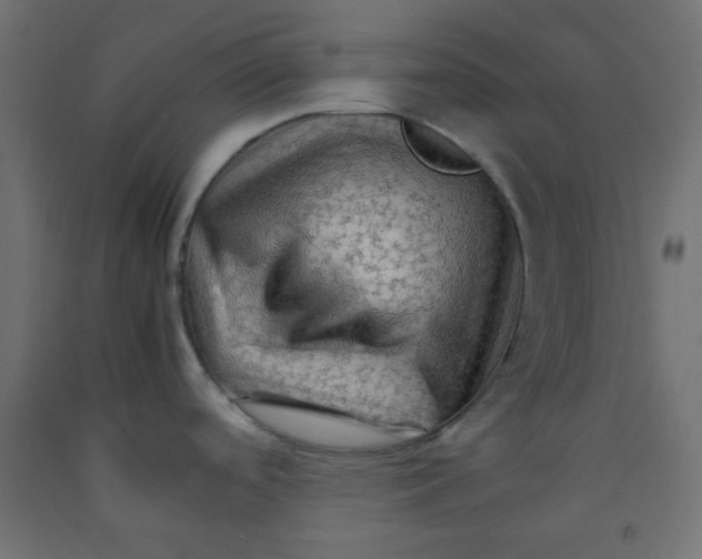 X0000092071488200710101008
