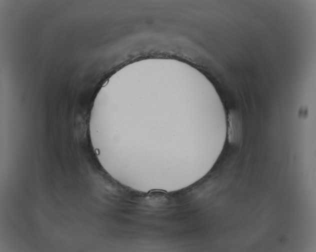 X0000092071491200710101007