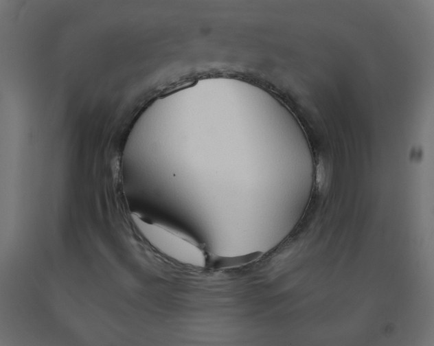 X0000092071492200710101007