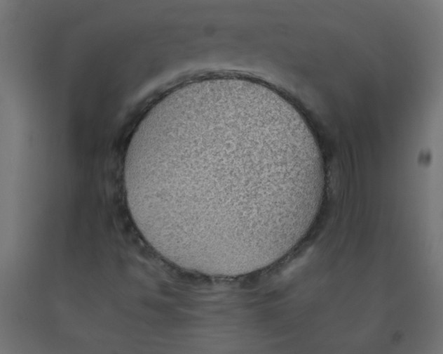 X0000092071494200710101007