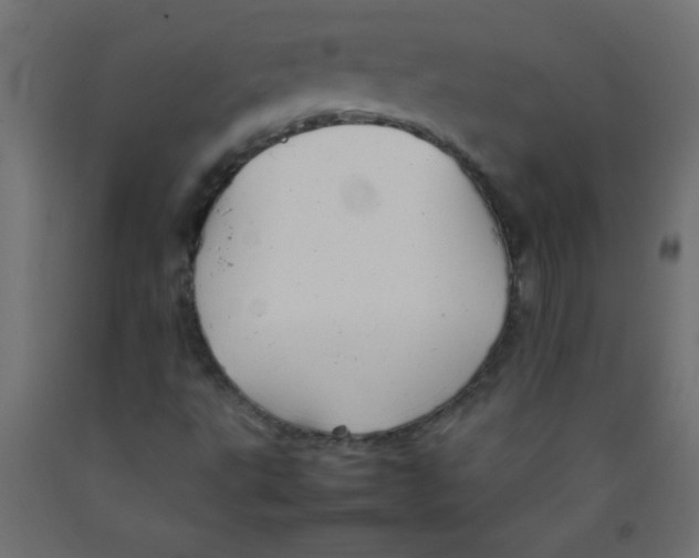 X0000092071495200710101007