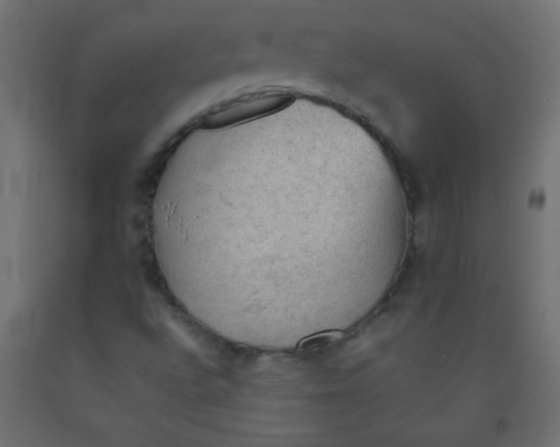 X0000092071496200710101007