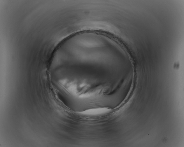 X0000092071497200710101007
