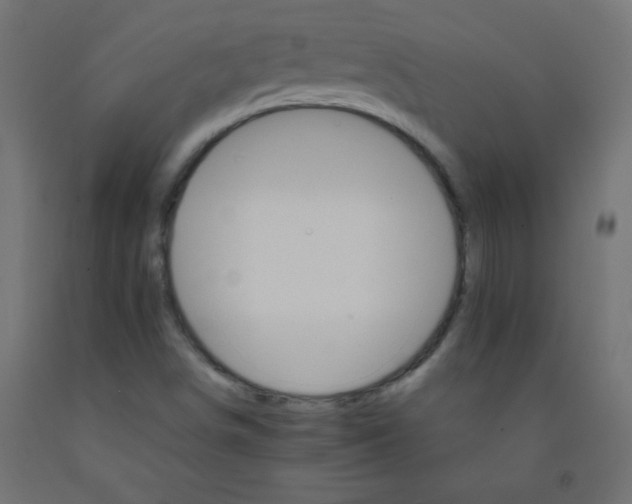 X0000092071498200710101007