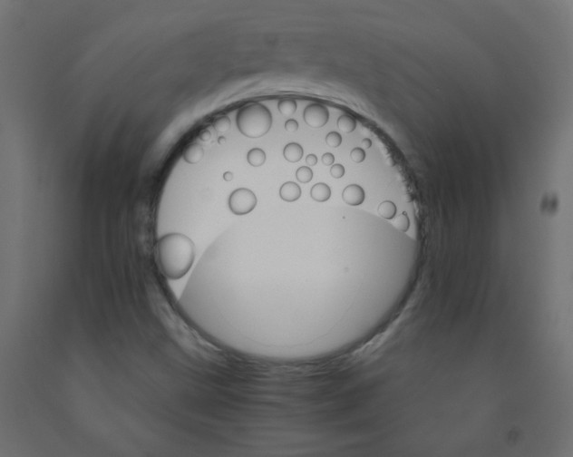 X0000092071499200710101007