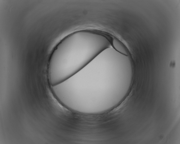 X0000092071500200710101007