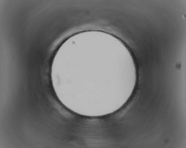 X0000092071502200710101007