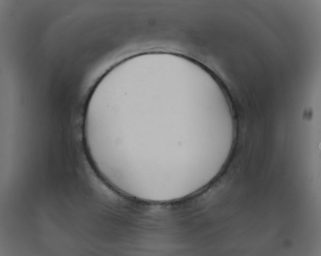 X0000092071504200710101007
