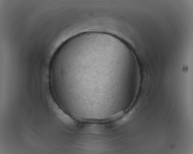 X0000092071506200710101007