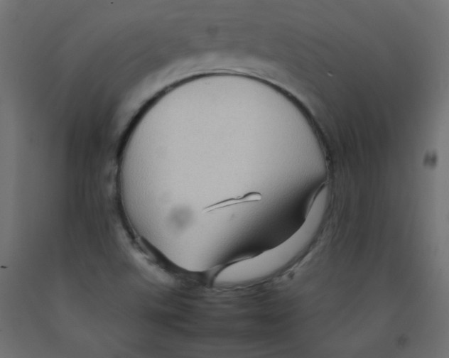 X0000092071507200710101007