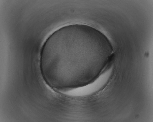 X0000092071508200710101007