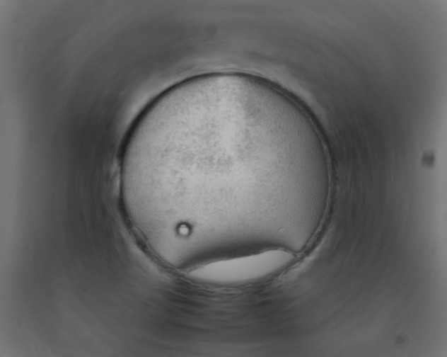 X0000092071509200710101007