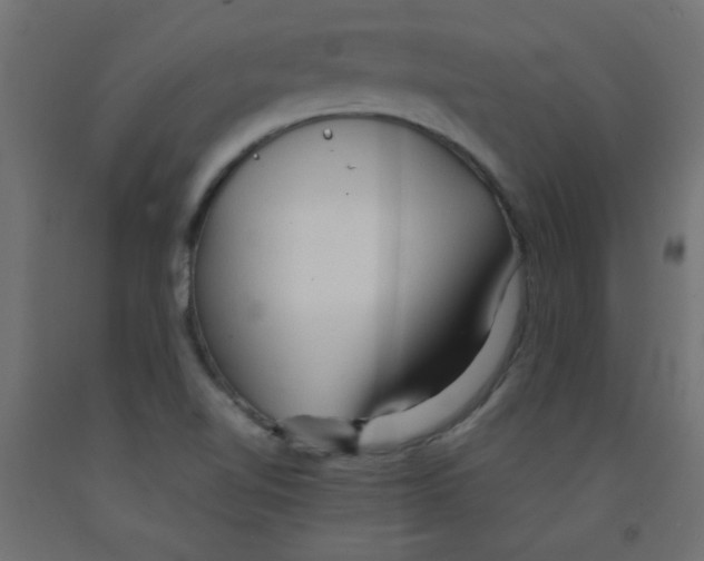 X0000092071510200710101007