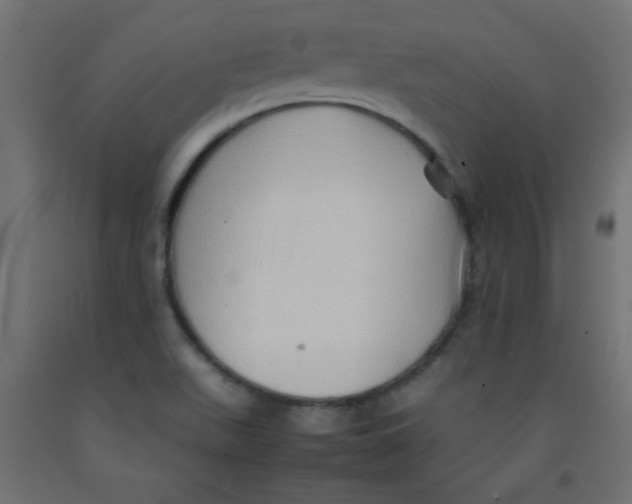 X0000092071511200710101007
