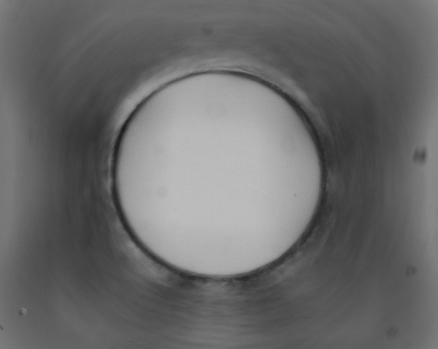 X0000092071512200710101007