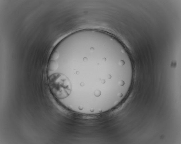 X0000092071513200710101007