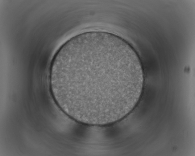 X0000092071514200710101007