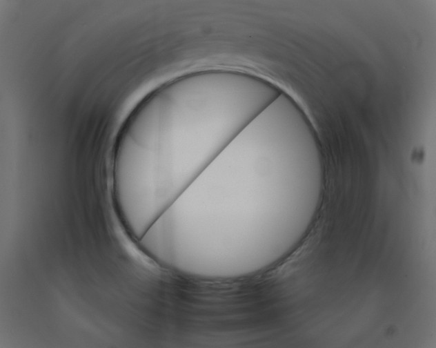 X0000092071515200710101007