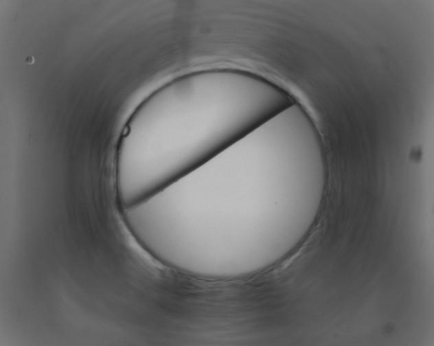 X0000092071516200710101007