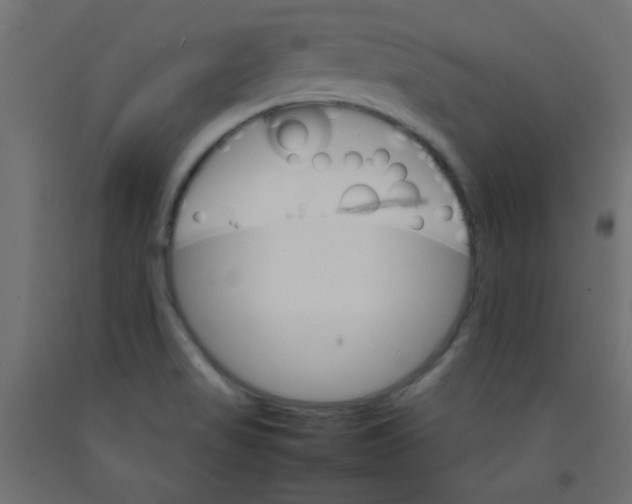 X0000092071517200710101007