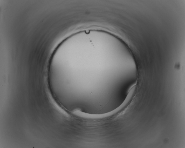 X0000092071518200710101007