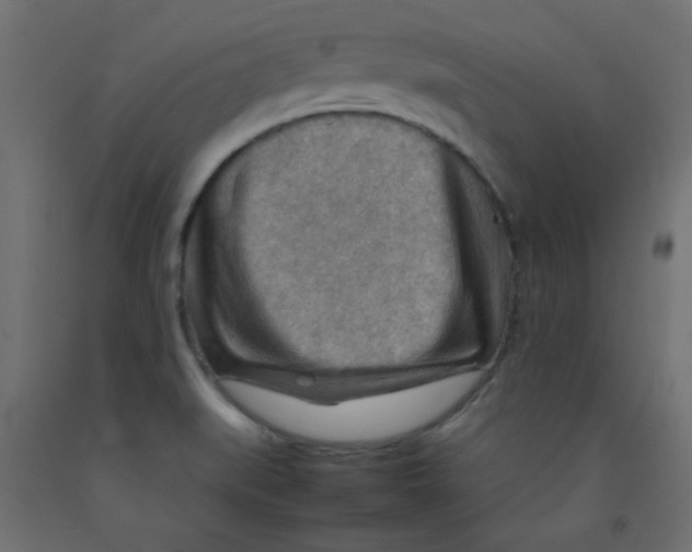 X0000092071519200710101007