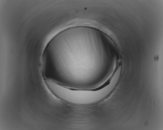 X0000092071520200710101007