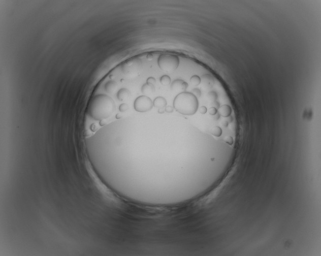 X0000092071521200710101007