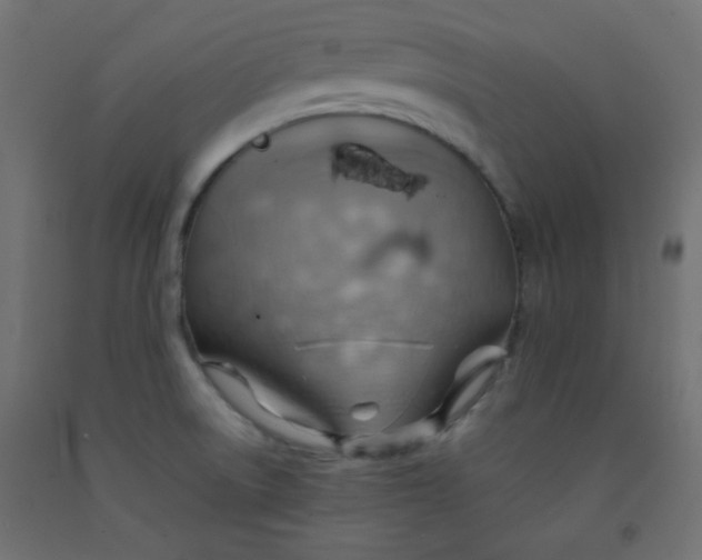X0000092071522200710101007