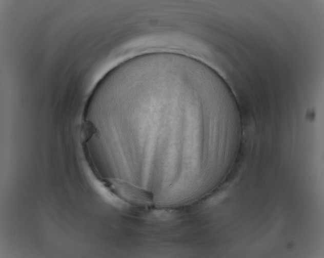 X0000092071523200710101008